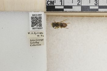 Media type: image;   Entomology 773037 Aspect: Labels